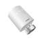 Thermostate